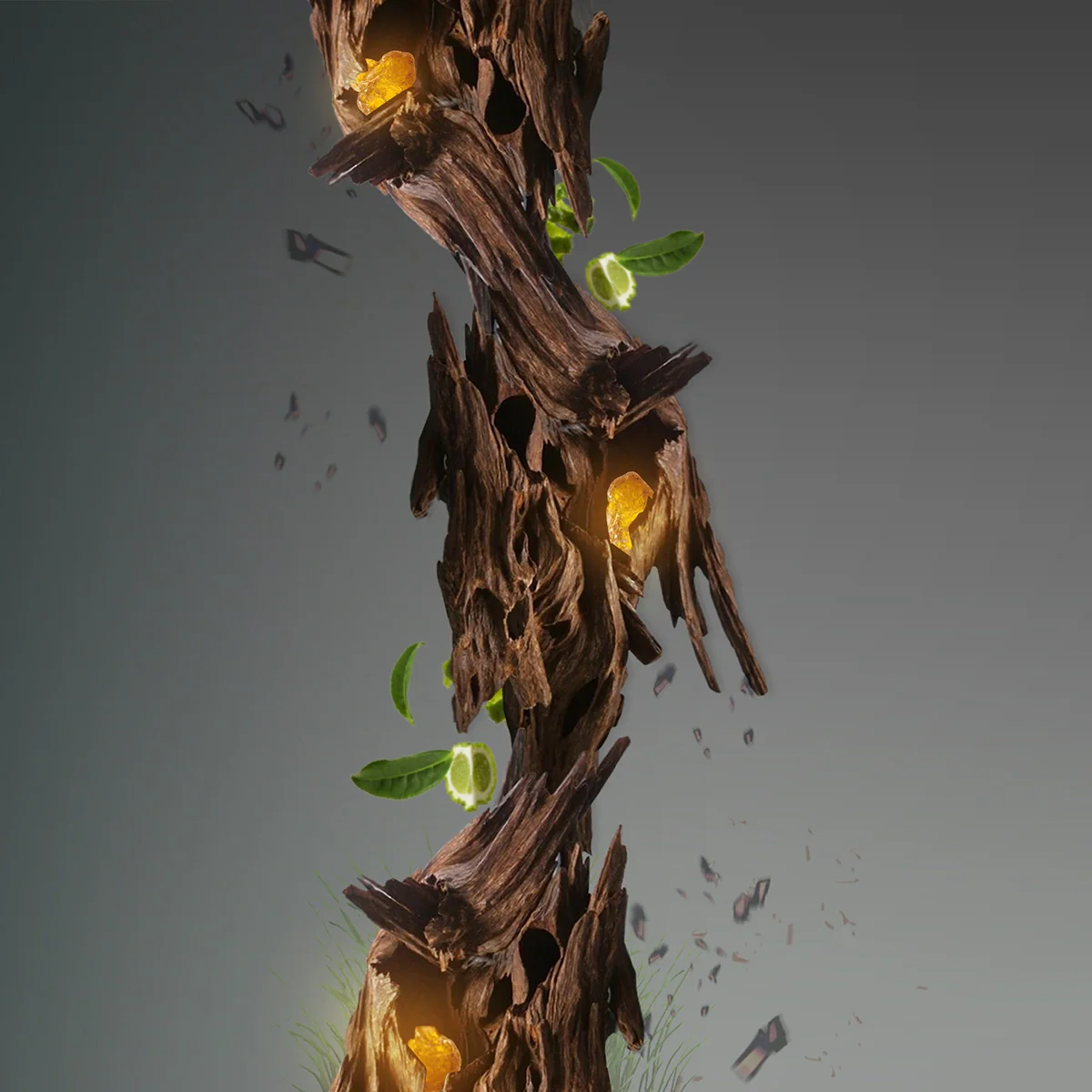 Palazzo Oud - Parfum - Image 4