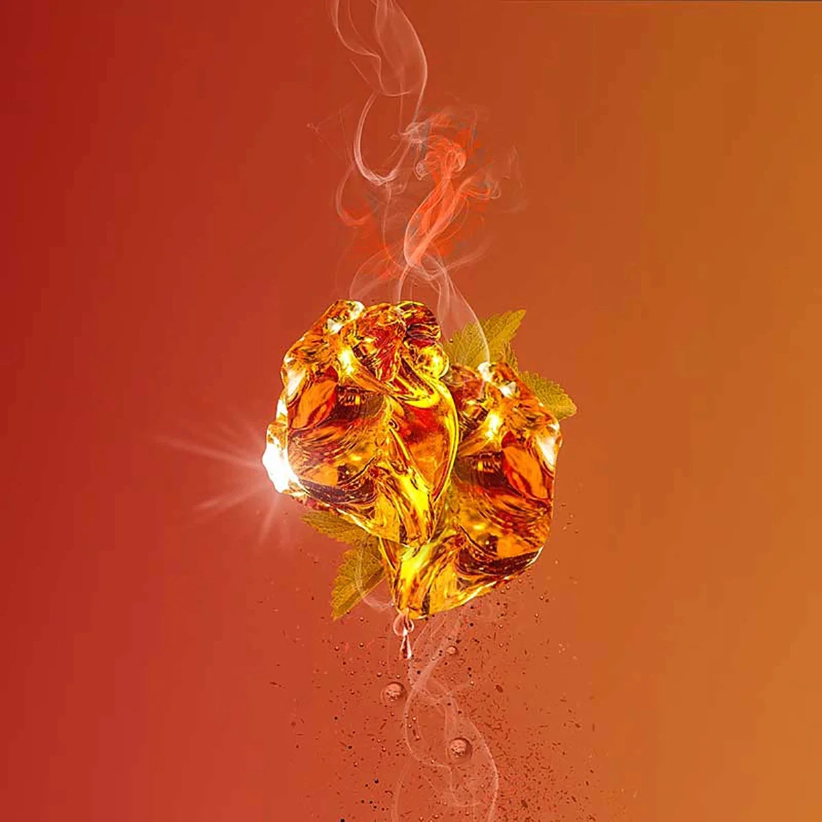 Amber Leather - Parfum - Image 4