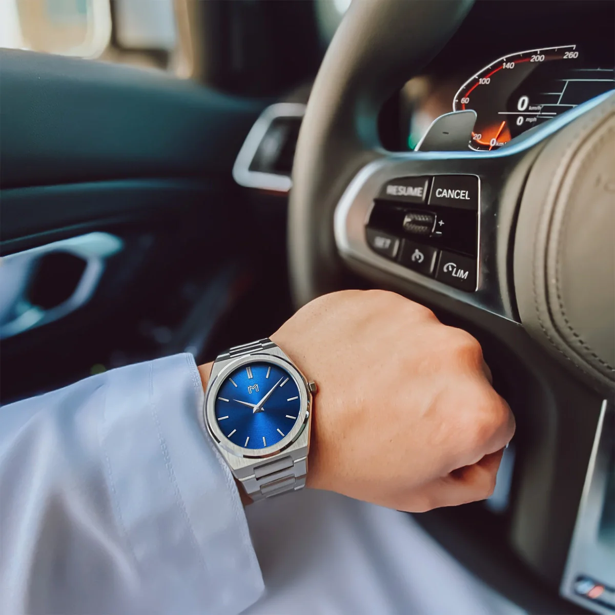 Silver Frost - Image 8